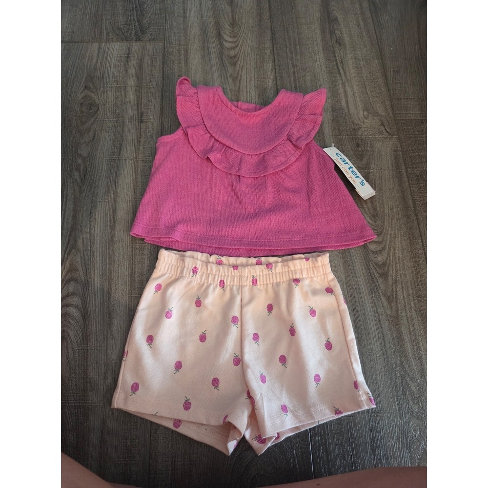 Carter's baby girl set 18 mos